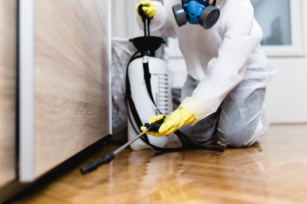 Best Commercial Pest Control Services  in East Bakersfield, CA
