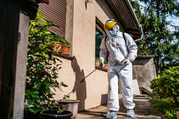 Best Mosquito Control Services  in East Bakersfield, CA