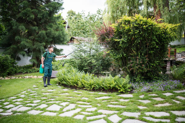 Best Best Pest Control Companies  in East Bakersfield, CA